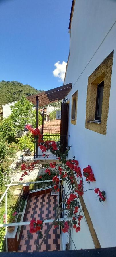 Nikis Apartments Agios Gordios  Exterior foto